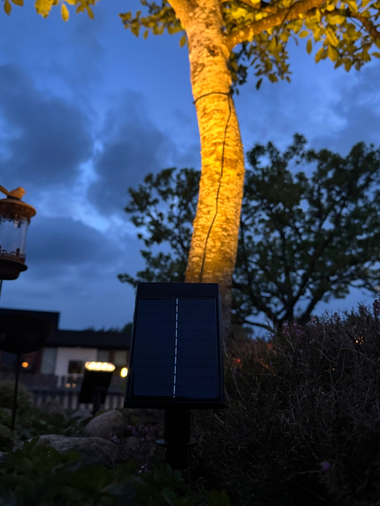 Terra tuinlamp die een tuinpad verlicht