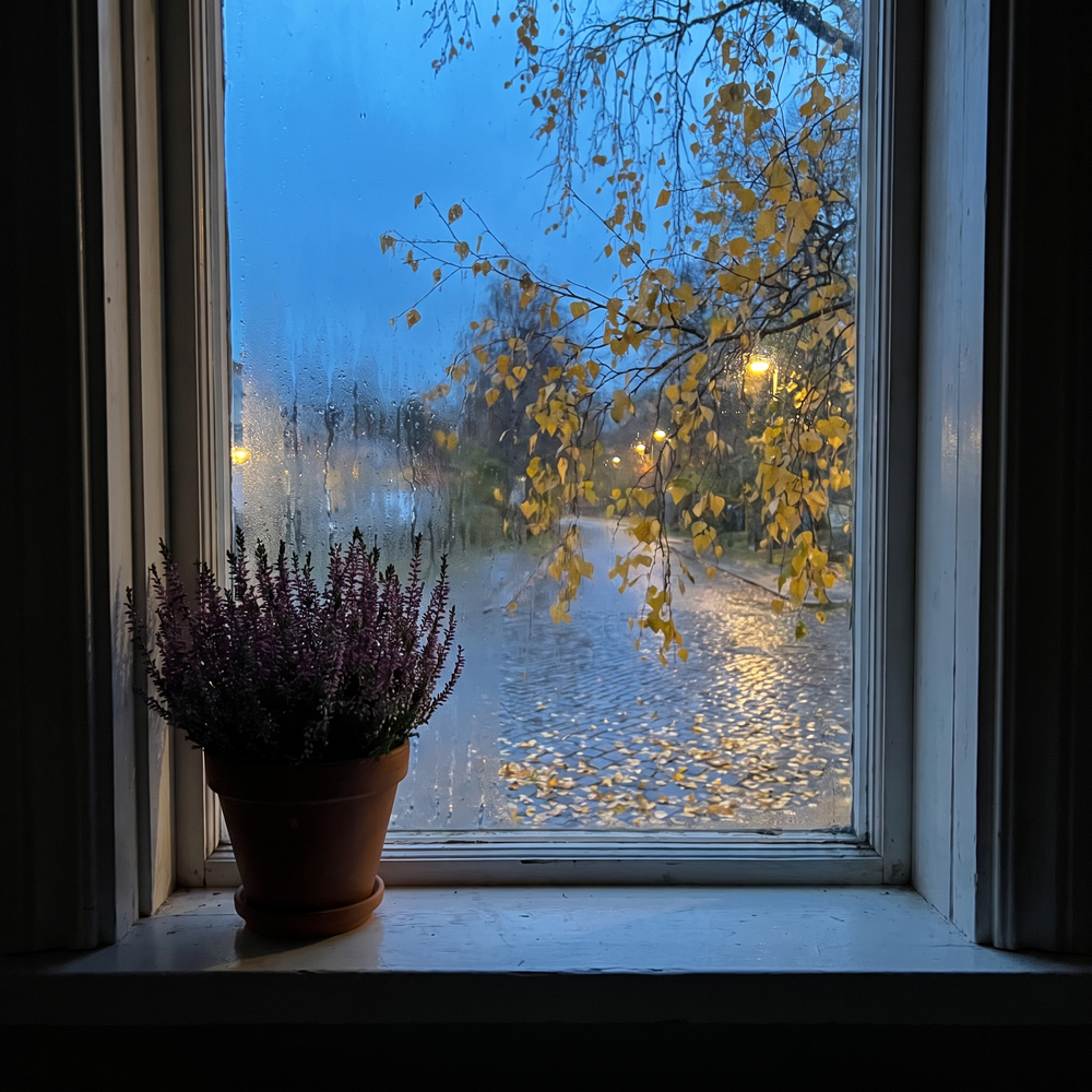 Före: fönsterbrädan en regnig höstkväll, utan Ambra